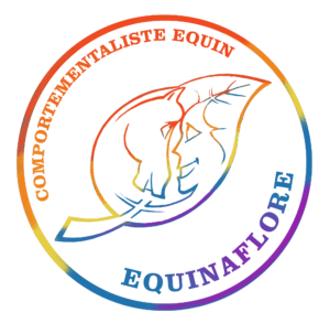 Logo Equinaflore Équitation Ethologique Débourrage Comportementaliste Naturopathie Poulains Motivation Figeac Occitanie Positive  Bien être  46 