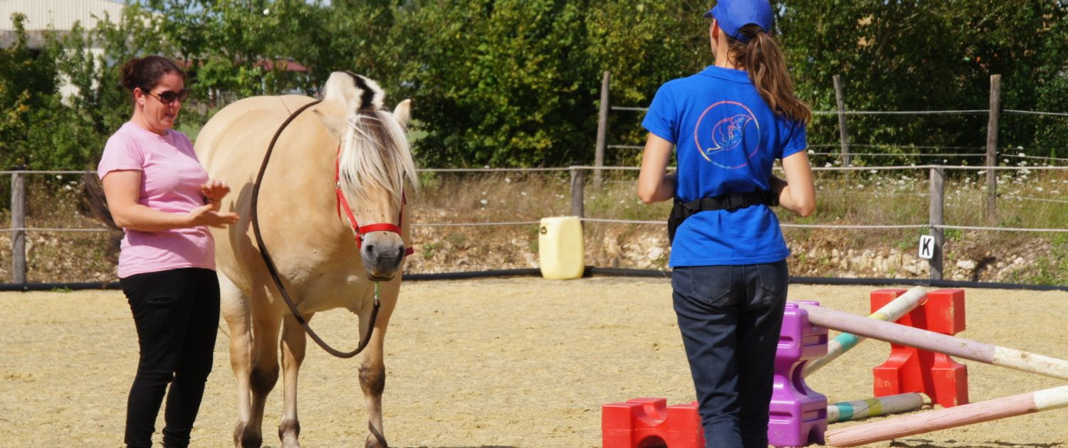 clicker-training Lot Figeac Occitanie Equitation Positive  Bien être  46