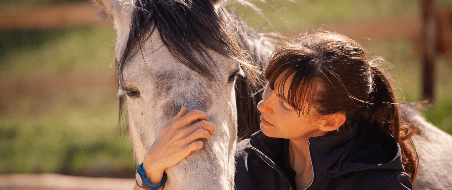 clicker-training Lot Figeac Occitanie Equitation Positive  Bien être  46