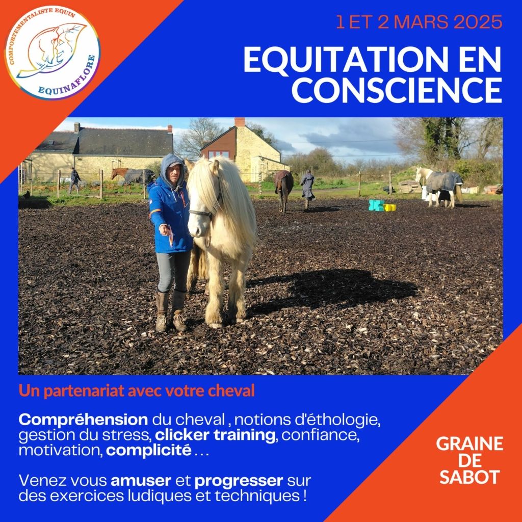 Clicker éthologie stage bien-etre équin équitation lot