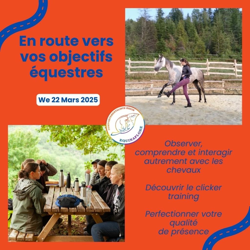 Clicker éthologie stage bien-etre équin équitation lot occitanie