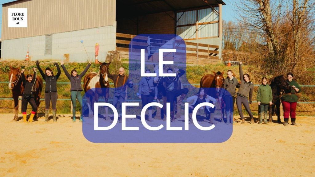 Formation en ligne clicker training