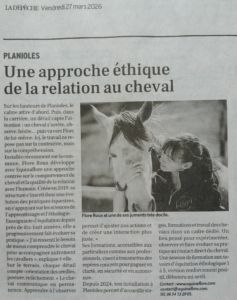 Bien-être chevaux, clicker training, equinaflore